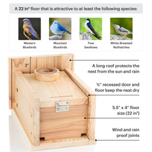 Load image into Gallery viewer, Bird Houses