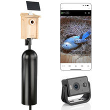 Load image into Gallery viewer, Bird Houses with Mounting Poles and Cameras