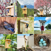 Load image into Gallery viewer, Bird Houses with Mounting Poles