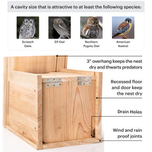 Load image into Gallery viewer, Owl Houses