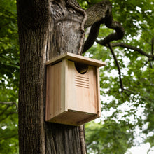 Load image into Gallery viewer, Owl Houses