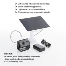Load image into Gallery viewer, Solar Powered Camera for Bird Houses