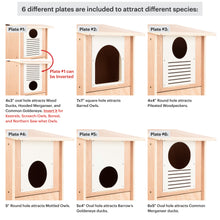Load image into Gallery viewer, 6 interchangeable entry plates for owls, ducks and woodpeckers