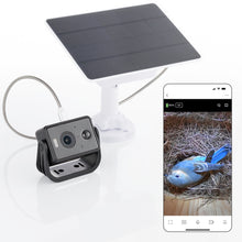 Load image into Gallery viewer, WHITEHORSE Solar Powered Camera for Bird Houses