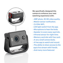 Load image into Gallery viewer, WHITEHORSE Solar Powered Camera for Bird Houses