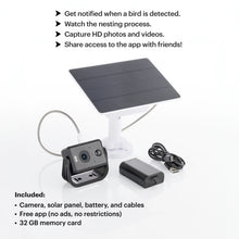 Load image into Gallery viewer, WHITEHORSE Solar Powered Camera for Bird Houses