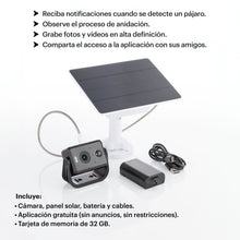 Cargar imagen en el visor de la galería, WHITEHORSE Solar Powered Camera for Bird Houses