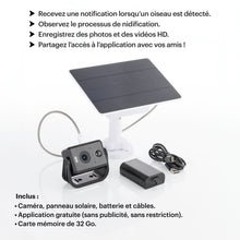 Load image into Gallery viewer, WHITEHORSE Solar Powered Camera for Bird Houses