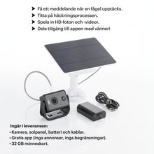 Ladda upp bild till gallerivisning, WHITEHORSE Solar Powered Camera for Bird Houses