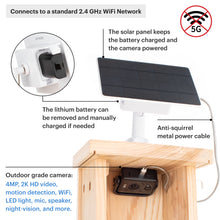 Load image into Gallery viewer, WHITEHORSE Bird House with Camera