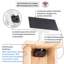 Afbeelding in Gallery-weergave laden, WHITEHORSE Bird House with Camera