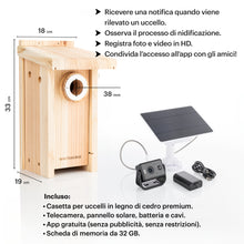 Load image into Gallery viewer, WHITEHORSE Bird House with Camera