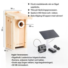 Load image into Gallery viewer, WHITEHORSE Bird House with Camera