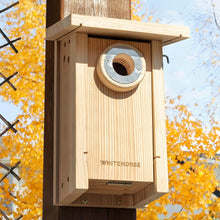 Cargar imagen en el visor de la galería, Stainless-steel predator guard installed on a WHITEHORSE bird house